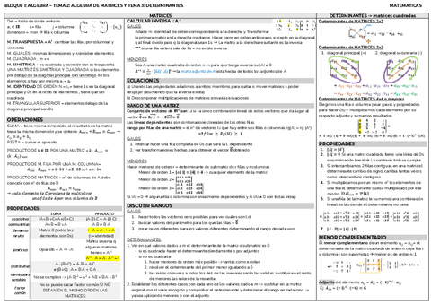 B1.T1y2-matrices-y-determinantes.pdf