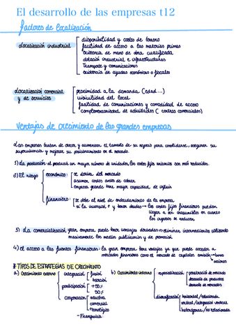 T-12-El-Desarrollo-De-Las-Empresas.pdf