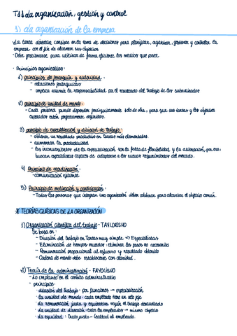 T-11-Gestion-Organizacion-Y-Control.pdf