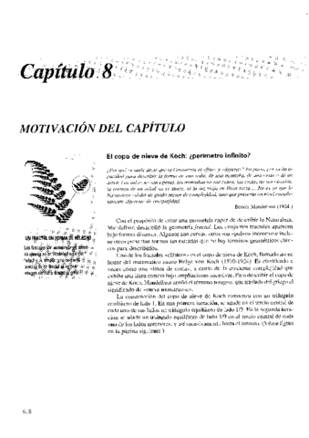 Capitulo-8.pdf