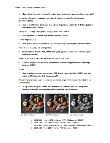 Tema1-preguntas-.pdf