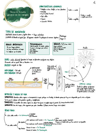 Tema-2-botanica.pdf