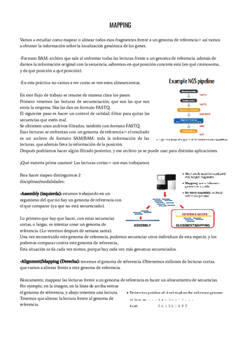 Genomicamapping-apuntes-completos.pdf