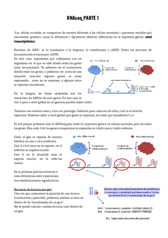 genomicaRNAseqparte-1-y-2-apuntes-completos.pdf