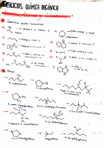 EJERCICIOS-Alcanos-Quimica-organica.pdf