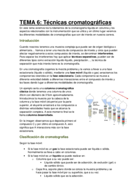 Tema 6- Técnicas cromatográficas.pdf