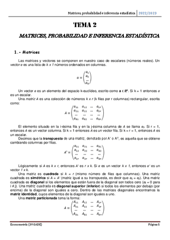 Resumen-T2-Econometria.pdf