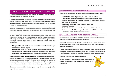 11.-MALALT-AMB-ALTERACIONS-VASCULARS.pdf