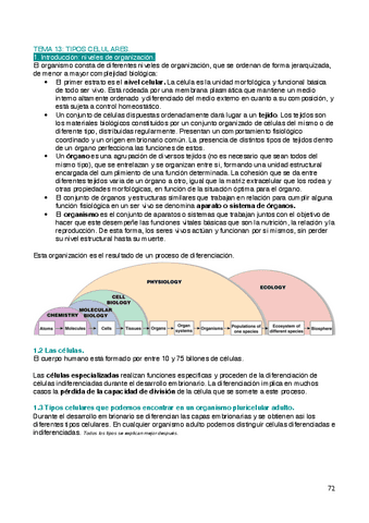 Biologia-T13.pdf