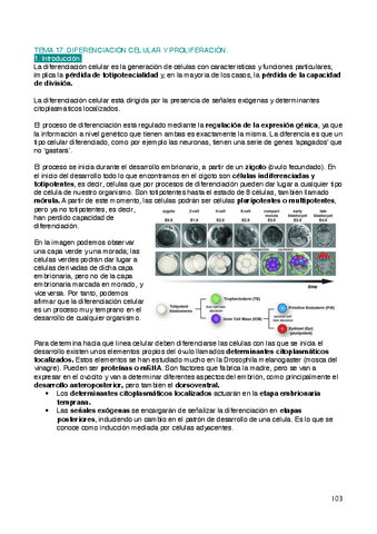 Biologia-T17.pdf
