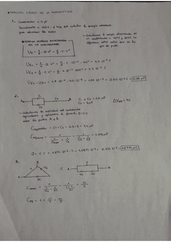 EjerciciosResultosFisica.pdf