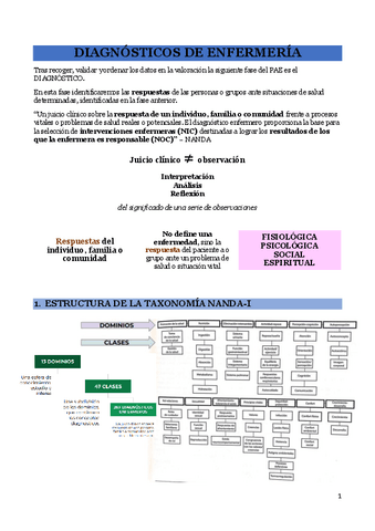 Diagnosticos-de-Enfermeria-NANDA-I.pdf