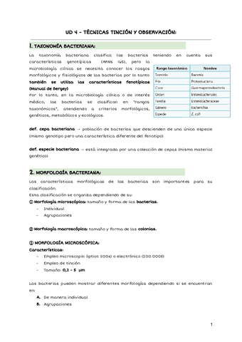 UD-4-TECNICAS-TINCION-Y-OBSERVACION.pdf