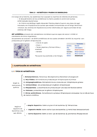 TEMA-5.1-ANTIBIOTICOS-Y-PRUEBAS-DE-SENSIBILIDAD.pdf