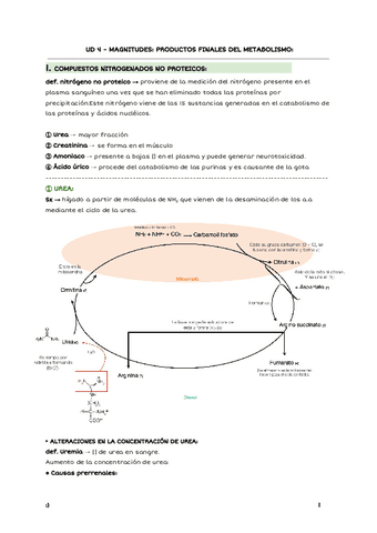 UD-4-MAGNITUDES-PRODUCTOS-FINALES-METABOLISMO.pdf