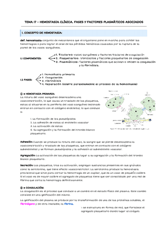 TEMA-17-HEMOSTASIA-CLINICA-2.pdf