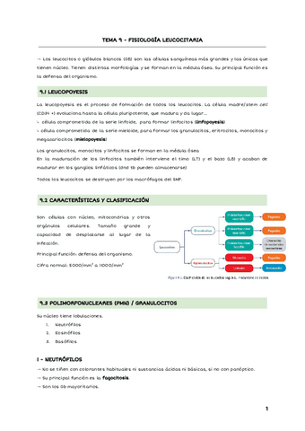 TEMA-9-FISIOLOGIA-LEUCOCITARIA.pdf