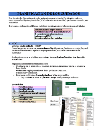 Planificacion-de-los-cuidados-NOC-NIC.pdf