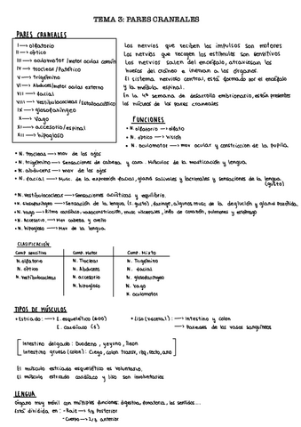 Tema-3.-Pares-craneales..pdf