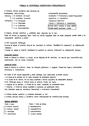 Tema-6.-SN PERIFERICO.pdf