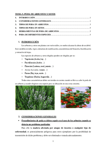 TEMA-5.-Poda-de-arbustos-y-setos.pdf
