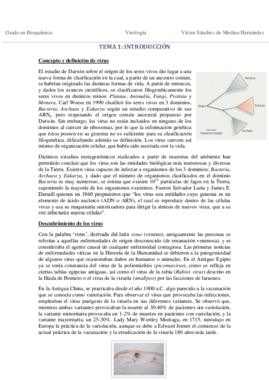 Tema 1. Introducción VSM.pdf