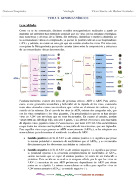 Tema 3. Genomas víricos VSM.pdf