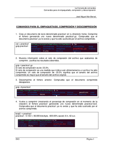5.6-Comandos-TAR.pdf