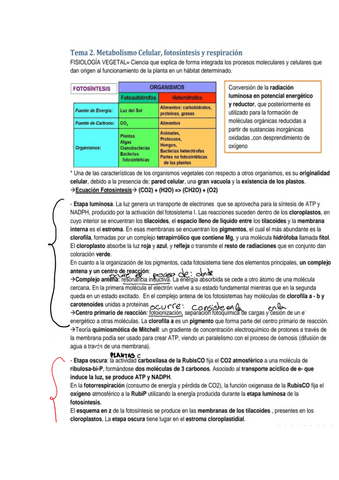parcial-fisiolgia.pdf