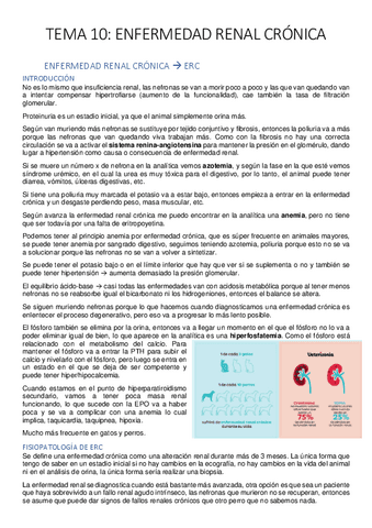 Tema-10-Enfermedad-Renal-cronica.pdf