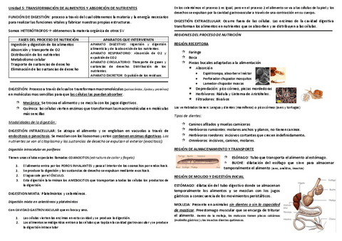 TEMA-5-Transformacion-de-alimentos-y-absorcion-de-nutrientes.pdf