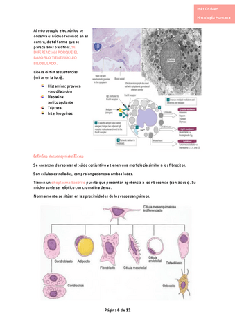 Histologia-completo-9.pdf