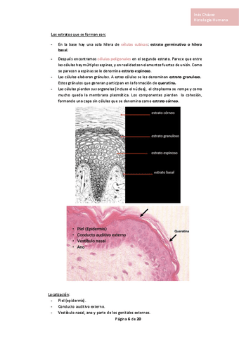 Histologia-completo-4.pdf
