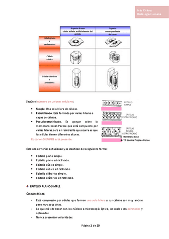Histologia-completo-3.pdf
