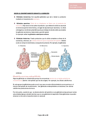Histologia-completo-7.pdf