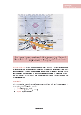 Histologia-completo-2.pdf