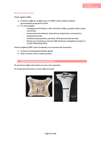 Histologia-completo-18.pdf