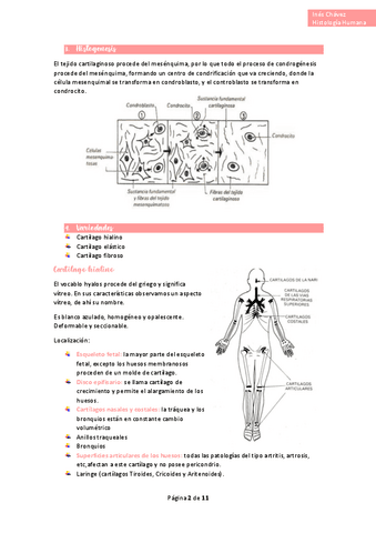 Histologia-completo-14.pdf