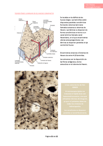 Histologia-completo-19.pdf