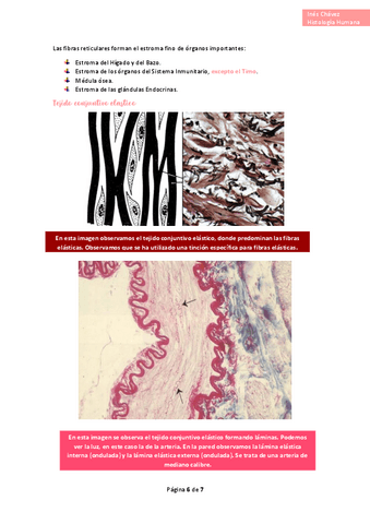 Histologia-completo-12.pdf