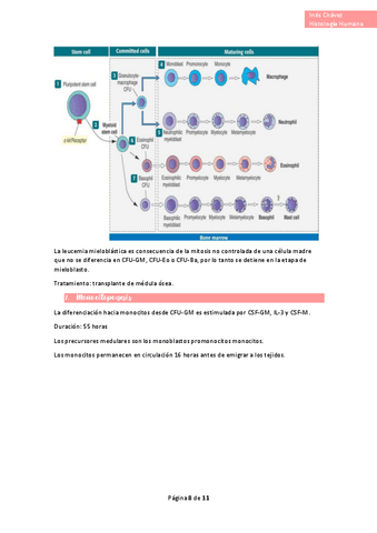 Histologia-completo-27.pdf