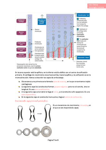 Histologia-completo-21.pdf
