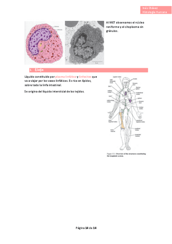Histologia-completo-25.pdf