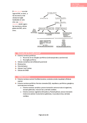 Histologia-completo-36.pdf