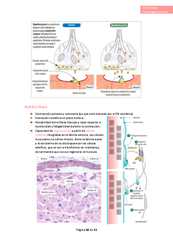 Histologia-completo-32.pdf