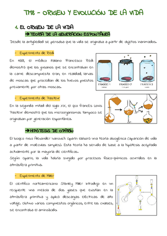 TM8-ORIGEN-Y-EVOLUCION-DE-LA-VIDA-bdsl.pdf