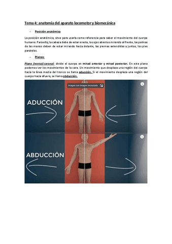 Tema-4-anatomia-del-aparato-locomotor-y-biomecanica.pdf