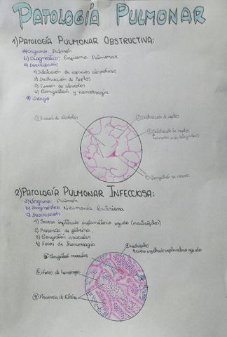 Patologia-pulmonar.pdf