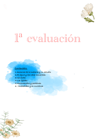 Primera-evaluacion.pdf