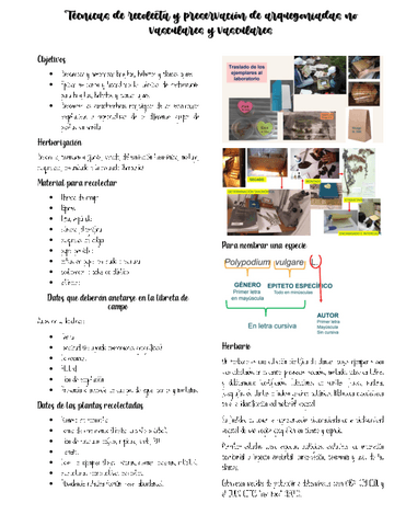 Animales-de-laboratorio.docx.pdf